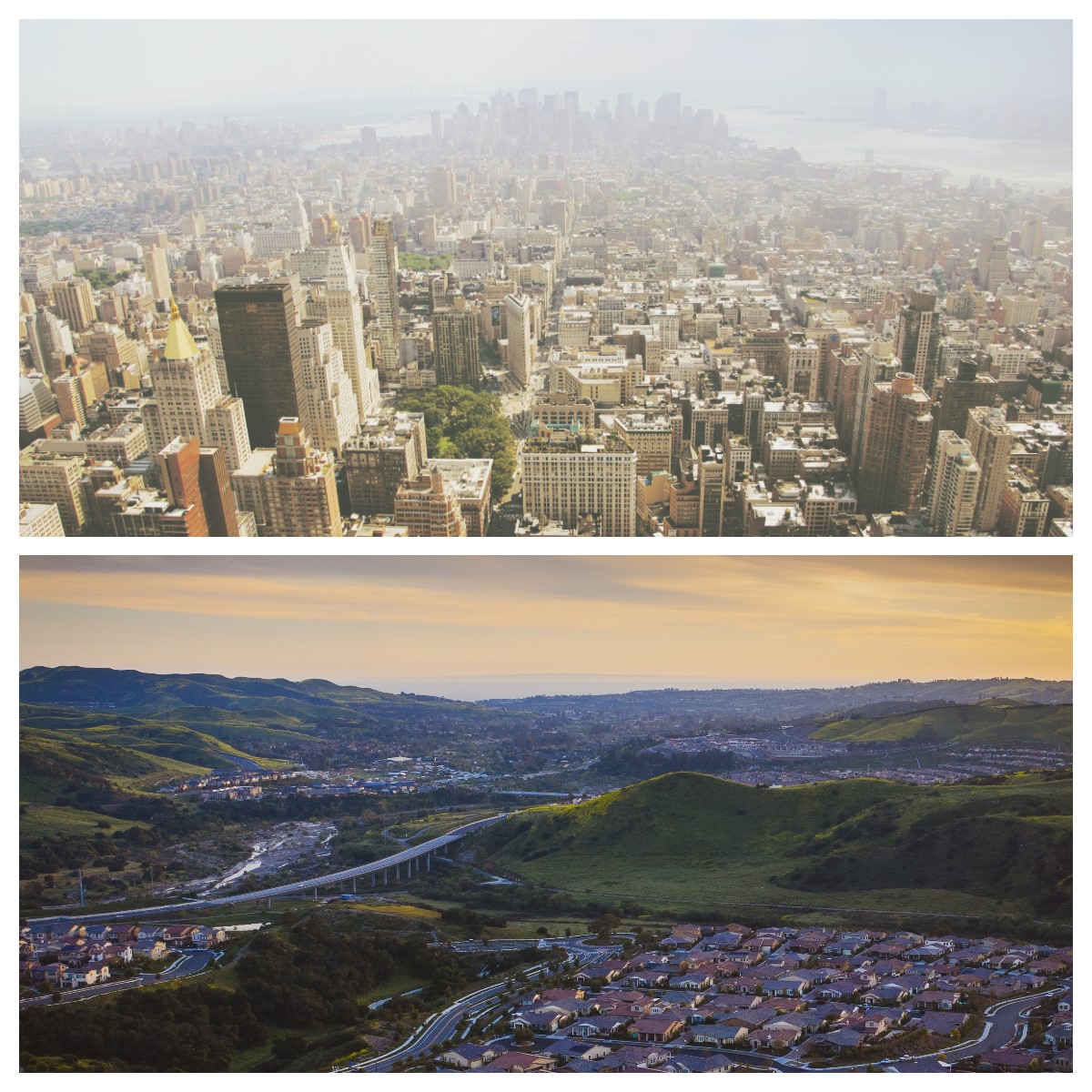 cities vs suburbs whats better